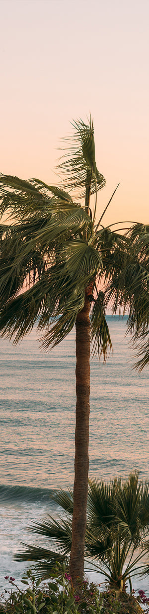 A picturesque island beach with a tall green palm tree in the foreground. In the background is an orange susnet over blue waters.